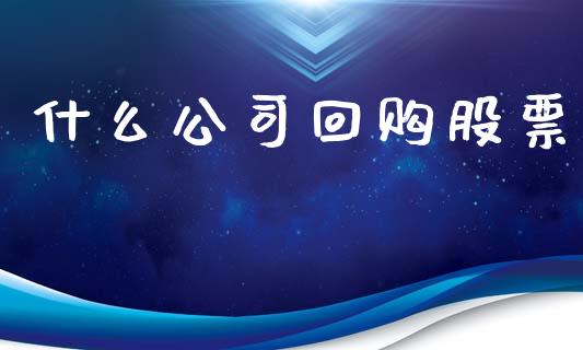 什么公司回购股票_https://wap.fcdydaikuan.com_金融机构_第1张