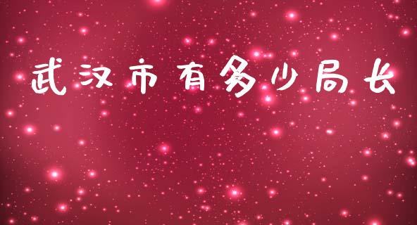 武汉市有多少局长_https://wap.fcdydaikuan.com_新股数据_第1张