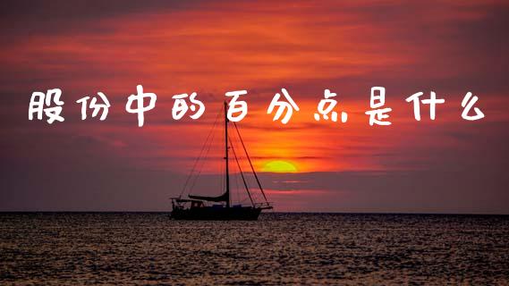 股份中的百分点是什么_https://wap.fcdydaikuan.com_投资策略_第1张
