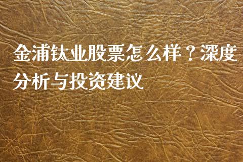 金浦钛业股票怎么样？深度分析与投资建议_https://wap.fcdydaikuan.com_理财顾问_第1张