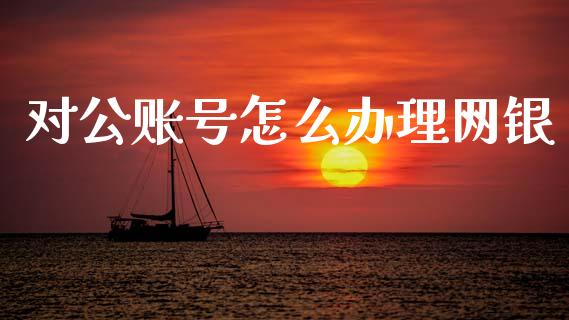 对公账号怎么办理网银_https://wap.fcdydaikuan.com_期货品种_第1张