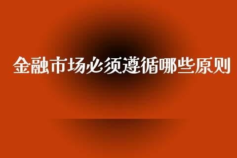 金融市场必须遵循哪些原则_https://wap.fcdydaikuan.com_理财顾问_第1张