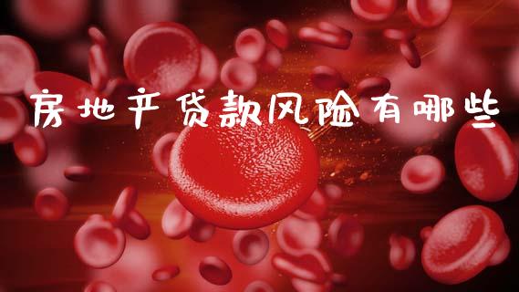 房地产贷款风险有哪些_https://wap.fcdydaikuan.com_新股数据_第1张