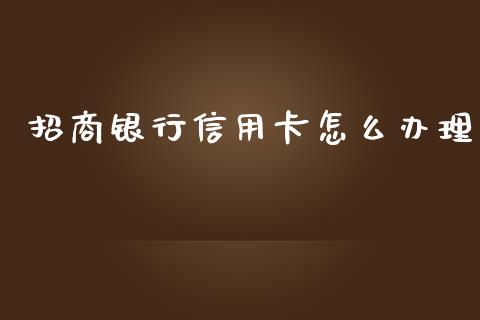 招商银行信用卡怎么办理_https://wap.fcdydaikuan.com_国际投资_第1张