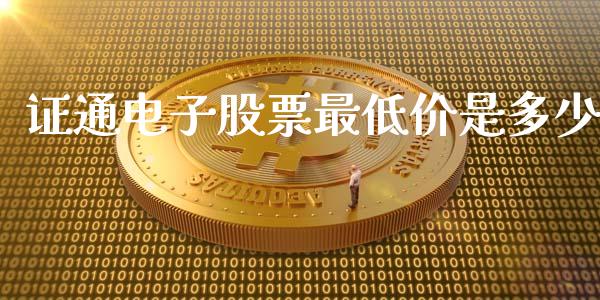 证通电子股票最低价是多少_https://wap.fcdydaikuan.com_金融机构_第1张