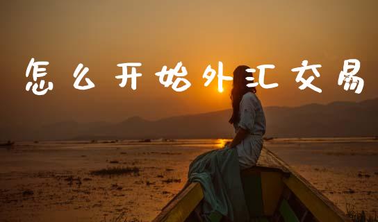 怎么开始外汇交易_https://wap.fcdydaikuan.com_期货品种_第1张