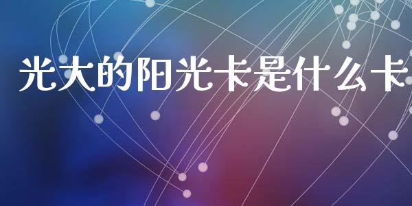 光大的阳光卡是什么卡_https://wap.fcdydaikuan.com_国际投资_第1张