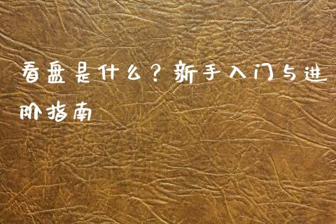 看盘是什么？新手入门与进阶指南_https://wap.fcdydaikuan.com_国际投资_第1张