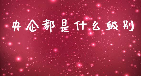 央企都是什么级别_https://wap.fcdydaikuan.com_金融机构_第1张