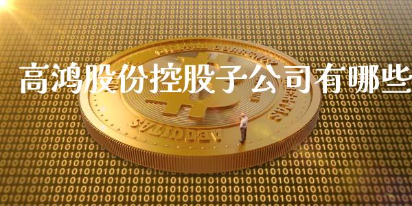 高鸿股份控股子公司有哪些_https://wap.fcdydaikuan.com_新股数据_第1张