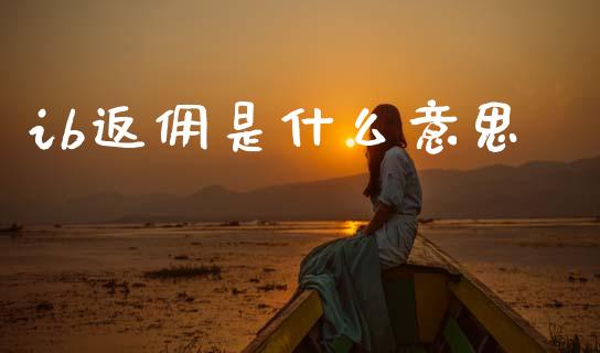 ib返佣是什么意思_https://wap.fcdydaikuan.com_国际投资_第1张