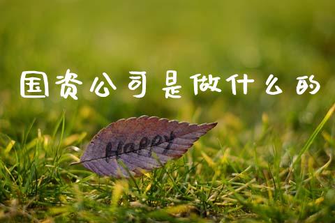 国资公司是做什么的_https://wap.fcdydaikuan.com_理财顾问_第1张