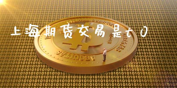 上海期货交易是t 0_https://wap.fcdydaikuan.com_投资策略_第1张
