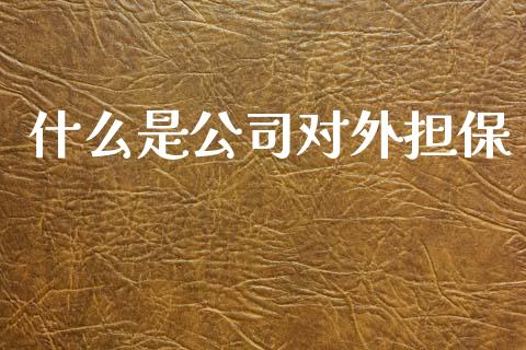 什么是公司对外担保_https://wap.fcdydaikuan.com_投资策略_第1张