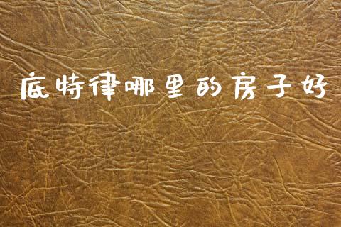 底特律哪里的房子好_https://wap.fcdydaikuan.com_投资策略_第1张