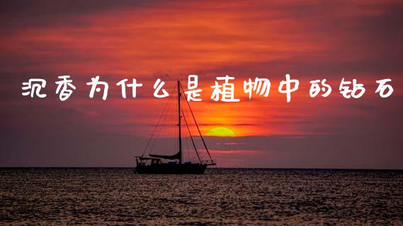 沉香为什么是植物中的钻石_https://wap.fcdydaikuan.com_期货品种_第1张