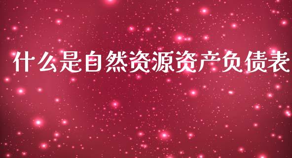 什么是自然资源资产负债表_https://wap.fcdydaikuan.com_投资策略_第1张