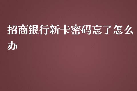招商银行新卡密码忘了怎么办_https://wap.fcdydaikuan.com_理财顾问_第1张
