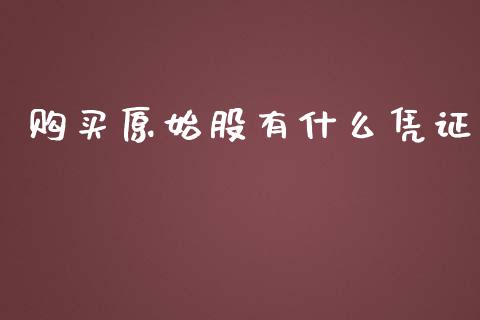 购买原始股有什么凭证_https://wap.fcdydaikuan.com_国际投资_第1张