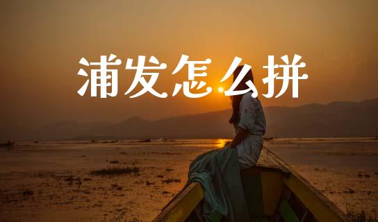 浦发怎么拼_https://wap.fcdydaikuan.com_投资策略_第1张