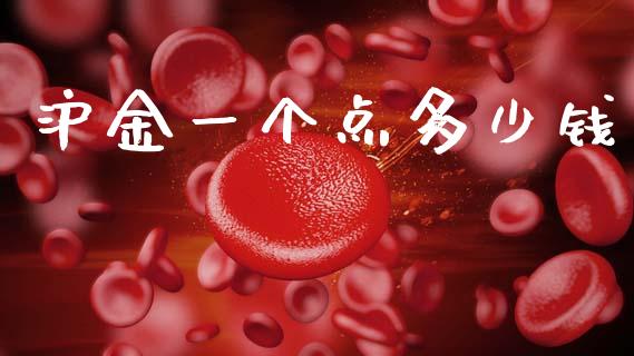 沪金一个点多少钱_https://wap.fcdydaikuan.com_金融机构_第1张