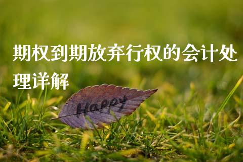 期权到期放弃行权的会计处理详解_https://wap.fcdydaikuan.com_理财顾问_第1张