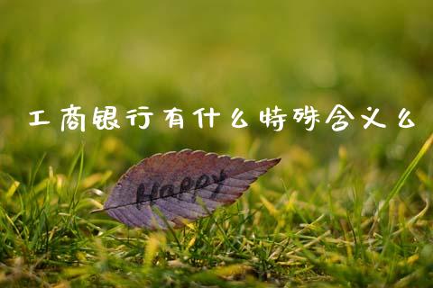 工商银行有什么特殊含义么_https://wap.fcdydaikuan.com_期货品种_第1张