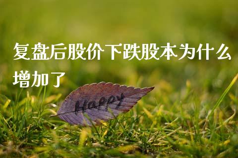 复盘后股价下跌股本为什么增加了_https://wap.fcdydaikuan.com_新股数据_第1张