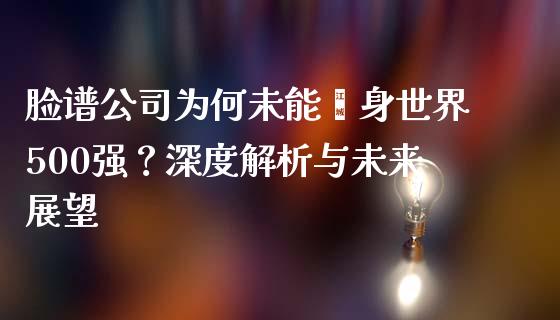 脸谱公司为何未能跻身世界500强？深度解析与未来展望_https://wap.fcdydaikuan.com_期货品种_第1张