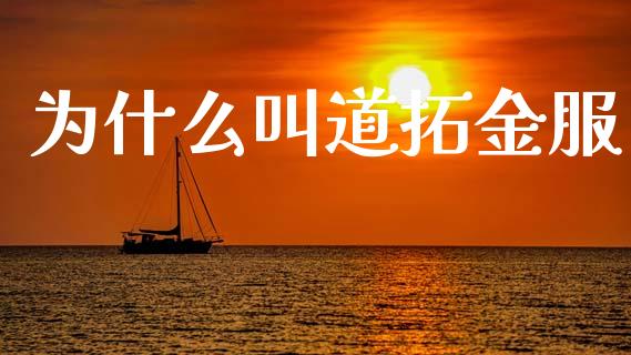 为什么叫道拓金服_https://wap.fcdydaikuan.com_国际投资_第1张