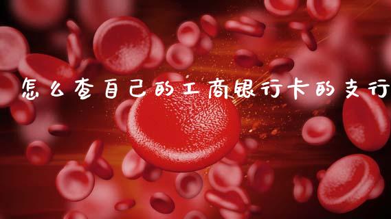怎么查自己的工商银行卡的支行_https://wap.fcdydaikuan.com_国际投资_第1张
