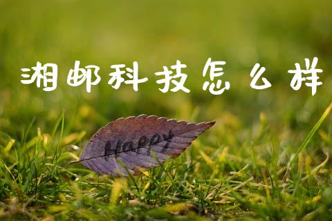 湘邮科技怎么样_https://wap.fcdydaikuan.com_期货品种_第1张