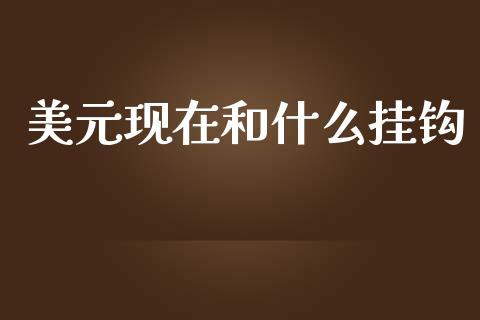 美元现在和什么挂钩_https://wap.fcdydaikuan.com_投资策略_第1张