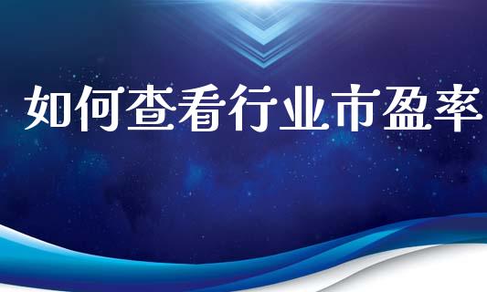 如何查看行业市盈率_https://wap.fcdydaikuan.com_国际投资_第1张