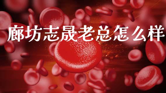 廊坊志晟老总怎么样_https://wap.fcdydaikuan.com_国际投资_第1张