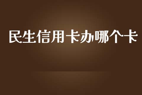 民生信用卡办哪个卡_https://wap.fcdydaikuan.com_国际投资_第1张