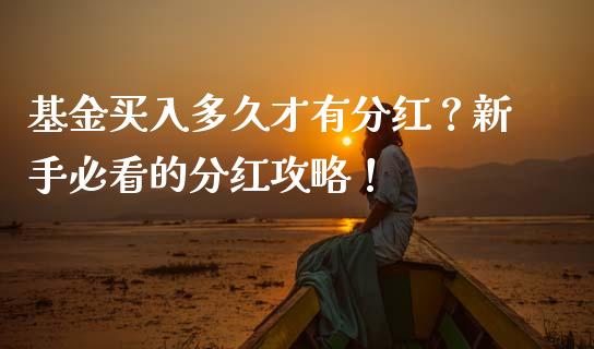 基金买入多久才有分红？新手必看的分红攻略！_https://wap.fcdydaikuan.com_新股数据_第1张