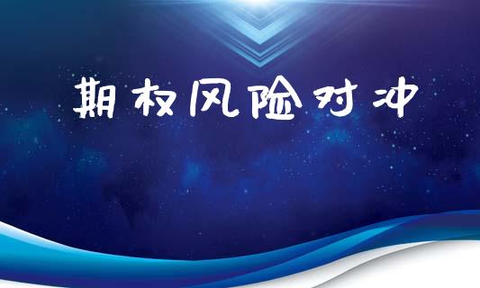 期权风险对冲_https://wap.fcdydaikuan.com_国际投资_第1张