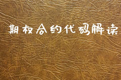 期权合约代码解读_https://wap.fcdydaikuan.com_理财顾问_第1张