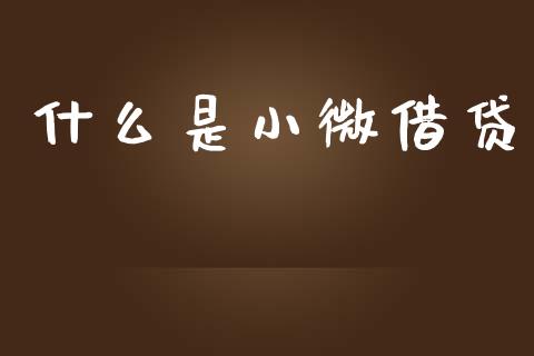 什么是小微借贷_https://wap.fcdydaikuan.com_理财顾问_第1张