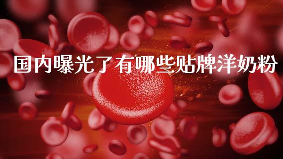 国内曝光了有哪些贴牌洋奶粉_https://wap.fcdydaikuan.com_理财顾问_第1张
