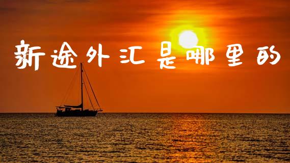 新途外汇是哪里的_https://wap.fcdydaikuan.com_金融机构_第1张