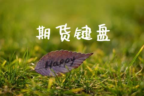期货键盘_https://wap.fcdydaikuan.com_国际投资_第1张