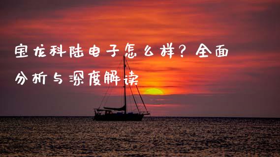 宝龙科陆电子怎么样？全面分析与深度解读_https://wap.fcdydaikuan.com_新股数据_第1张