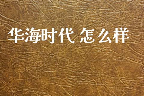 华海时代 怎么样_https://wap.fcdydaikuan.com_理财顾问_第1张
