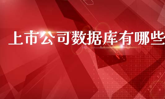 上市公司数据库有哪些_https://wap.fcdydaikuan.com_国际投资_第1张