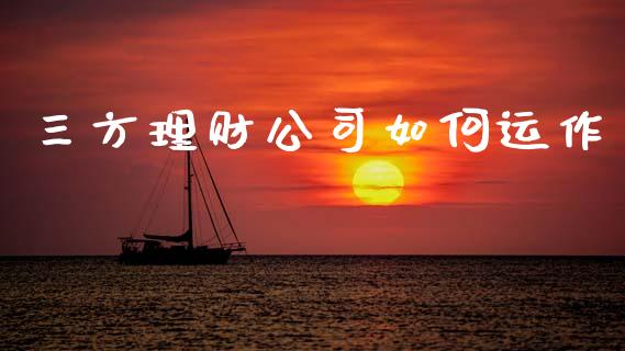 三方理财公司如何运作_https://wap.fcdydaikuan.com_国际投资_第1张