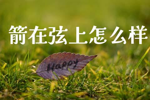 箭在弦上怎么样_https://wap.fcdydaikuan.com_理财顾问_第1张