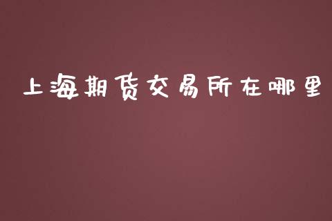 上海期货交易所在哪里_https://wap.fcdydaikuan.com_新股数据_第1张