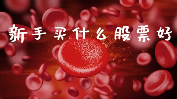 新手买什么股票好_https://wap.fcdydaikuan.com_国际投资_第1张